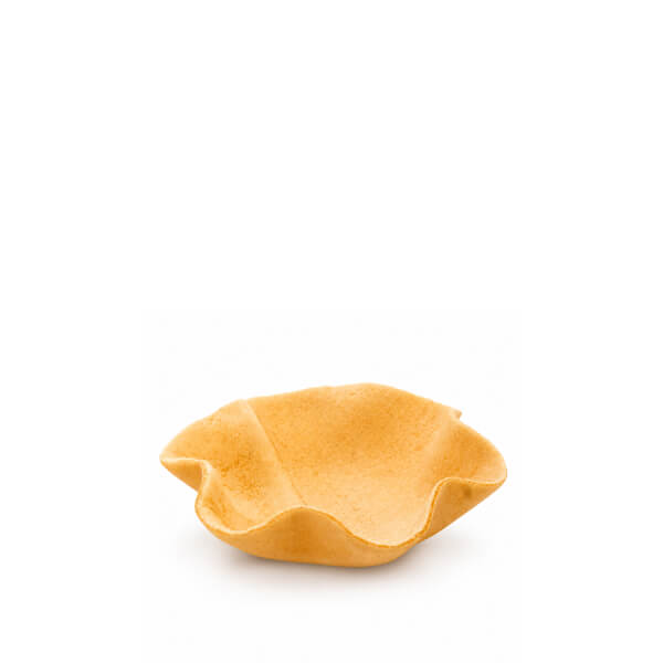 tulipa micro